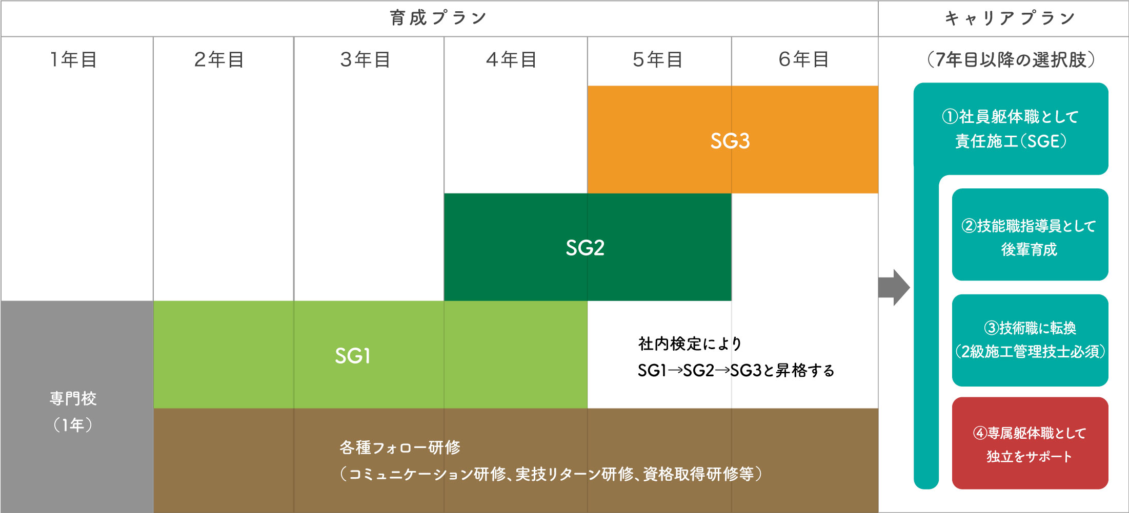 躯体職 育成およびキャリアプラン